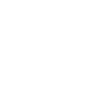 ARK FASHION LOGO (2)
